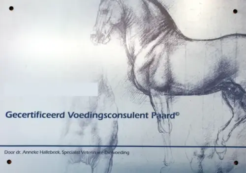 Voorbeeld certificaat Voedingsconsulent Paard